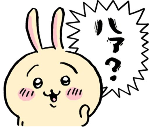 🐰